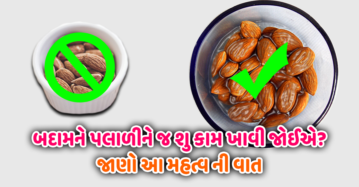 બદામને પલાળીને જ શુ કામ ખાવી જોઈએ? જાણો આ મહત્વ ની વાત